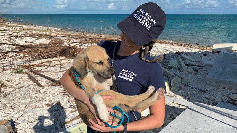 Outdoor image of Bahamas Disaster Response volunteer cradling a dog